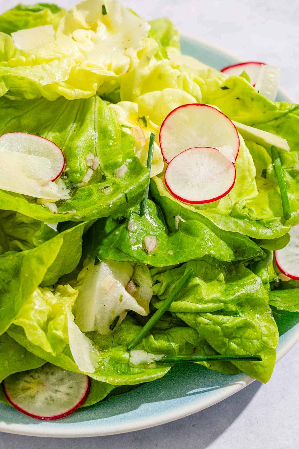 Discover Butter Lettuce: Your Guide to the Perfect Spring Salad